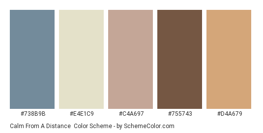 Calm from a Distance - Color scheme palette thumbnail - #738B9B #E4E1C9 #C4A697 #755743 #D4A679 