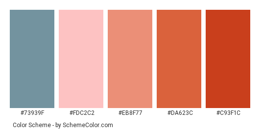 Red Clouds - Color scheme palette thumbnail - #73939F #FDC2C2 #EB8F77 #DA623C #C93F1C 