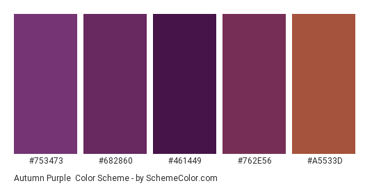 Autumn Purple - Color scheme palette thumbnail - #753473 #682860 #461449 #762E56 #A5533D 