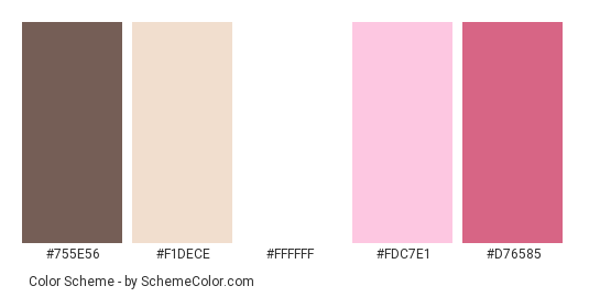 Pink Computer Room - Color scheme palette thumbnail - #755e56 #f1dece #ffffff #fdc7e1 #d76585 