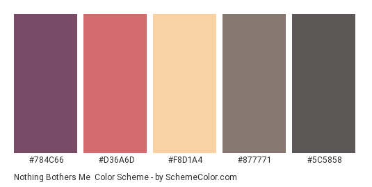 Nothing Bothers Me - Color scheme palette thumbnail - #784C66 #D36A6D #F8D1A4 #877771 #5C5858 