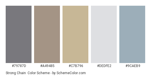 Strong Chain - Color scheme palette thumbnail - #79787D #A49485 #C7B796 #DEDFE2 #9CAEB9 
