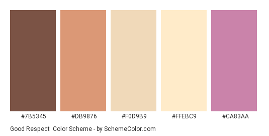 Good Respect - Color scheme palette thumbnail - #7B5345 #DB9876 #F0D9B9 #FFEBC9 #CA83AA 
