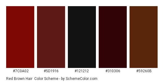Red Brown Hair - Color scheme palette thumbnail - #7C0A02 #5D1916 #121212 #310306 #59260B 