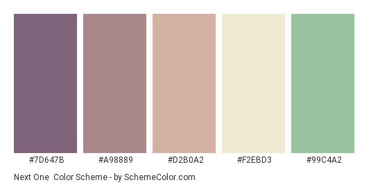 Next One - Color scheme palette thumbnail - #7D647B #A98889 #D2B0A2 #F2EBD3 #99C4A2 