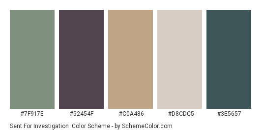 Sent for Investigation - Color scheme palette thumbnail - #7F917E #52454F #C0A486 #D8CDC5 #3E5657 