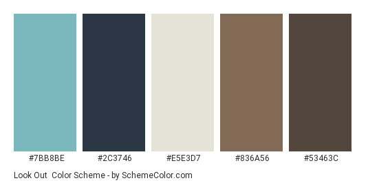 Look Out - Color scheme palette thumbnail - #7bb8be #2c3746 #e5e3d7 #836a56 #53463c 