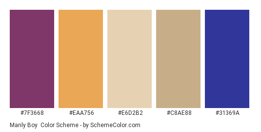 Manly Boy - Color scheme palette thumbnail - #7f3668 #eaa756 #e6d2b2 #c8ae88 #31369a 