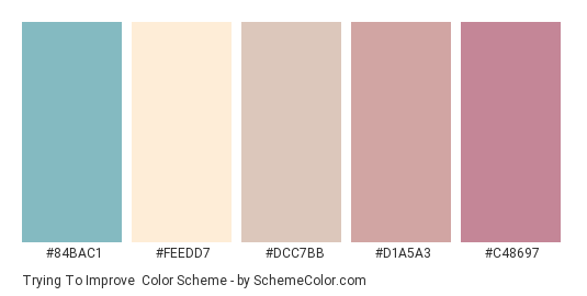Trying to Improve - Color scheme palette thumbnail - #84bac1 #feedd7 #dcc7bb #d1a5a3 #c48697 