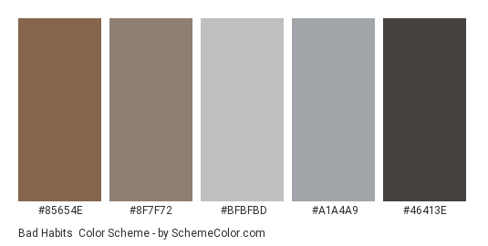 Bad Habits - Color scheme palette thumbnail - #85654E #8F7F72 #BFBFBD #A1A4A9 #46413E 