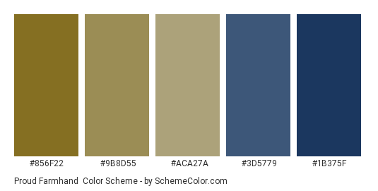 Proud Farmhand - Color scheme palette thumbnail - #856f22 #9b8d55 #aca27a #3d5779 #1b375f 