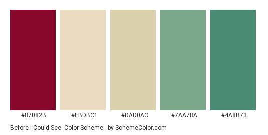Before I Could See - Color scheme palette thumbnail - #87082b #ebdbc1 #dad0ac #7aa78a #4a8b73 
