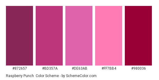 Raspberry Punch - Color scheme palette thumbnail - #872657 #BD357A #DE63AB #FF7BB4 #980036 