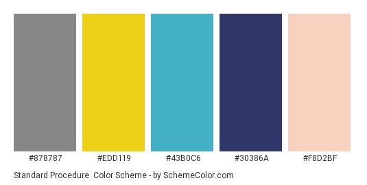 Standard Procedure - Color scheme palette thumbnail - #878787 #edd119 #43b0c6 #30386a #f8d2bf 