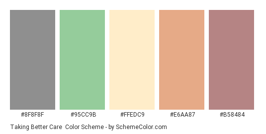 Taking Better Care - Color scheme palette thumbnail - #8F8F8F #95CC9B #FFEDC9 #E6AA87 #B58484 