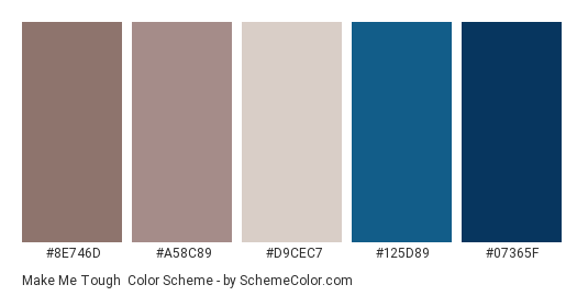 Make Me Tough - Color scheme palette thumbnail - #8e746d #a58c89 #d9cec7 #125d89 #07365f 
