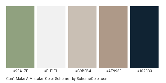 Can’t Make a Mistake - Color scheme palette thumbnail - #90a17f #f1f1f1 #c9bfb4 #ae9988 #102333 