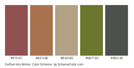 Further Into Winter - Color scheme palette thumbnail - #915151 #A9724E #B3A186 #6B772D #4D514E 