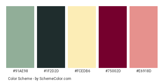 Hope & Love - Color scheme palette thumbnail - #91ae98 #1f2d2d #fcedb6 #75002d #e6918d 