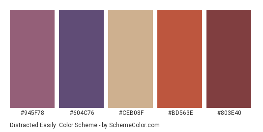 Distracted Easily - Color scheme palette thumbnail - #945f78 #604c76 #ceb08f #bd563e #803e40 