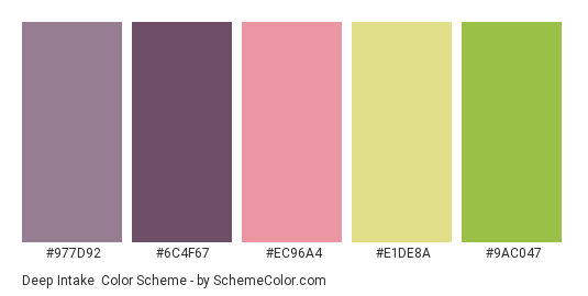 Deep Intake - Color scheme palette thumbnail - #977d92 #6c4f67 #ec96a4 #e1de8a #9ac047 