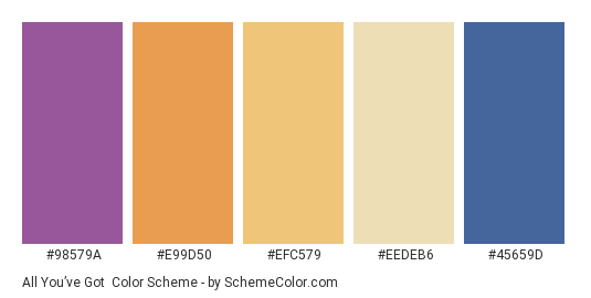 All You’ve Got - Color scheme palette thumbnail - #98579a #e99d50 #efc579 #eedeb6 #45659d 