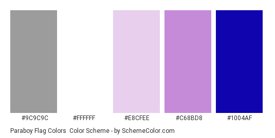Paraboy Flag Colors - Color scheme palette thumbnail - #9C9C9C #FFFFFF #e8cfee #c68bd8 #1004af 
