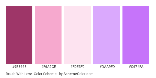 Brush with Love - Color scheme palette thumbnail - #9E3668 #F6A9CE #FDE3F0 #DAA9FD #C674FA 