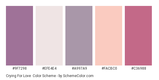 Crying for Love - Color scheme palette thumbnail - #9f7298 #efe4e4 #a997a9 #facbc0 #c36988 