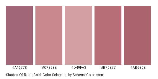Shades Of Rose Gold Color Scheme » Pink » SchemeColor.com