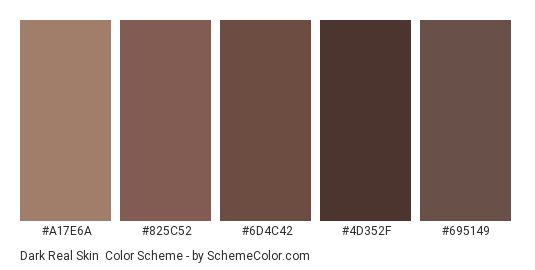 Dark Real Skin - Color scheme palette thumbnail - #A17E6A #825C52 #6D4C42 #4D352F #695149 