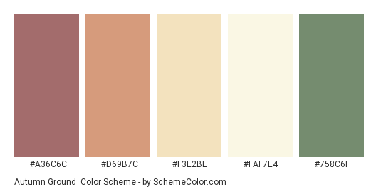 Autumn Ground - Color scheme palette thumbnail - #A36C6C #D69B7C #F3E2BE #FAF7E4 #758C6F 