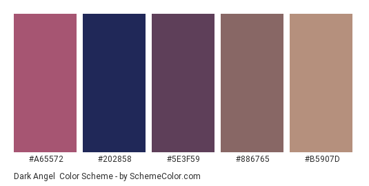 Dark Angel - Color scheme palette thumbnail - #A65572 #202858 #5E3F59 #886765 #B5907D 