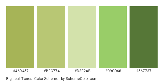 Big Leaf Tones - Color scheme palette thumbnail - #A6B457 #B8C774 #D3E2AB #99CD68 #567737 