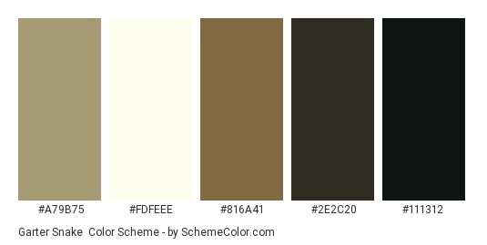 Garter Snake - Color scheme palette thumbnail - #A79B75 #FDFEEE #816A41 #2E2C20 #111312 