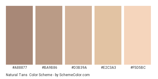 Natural Tans - Color scheme palette thumbnail - #A88877 #BA9B86 #D3B39A #E2C3A3 #F5D5BC 