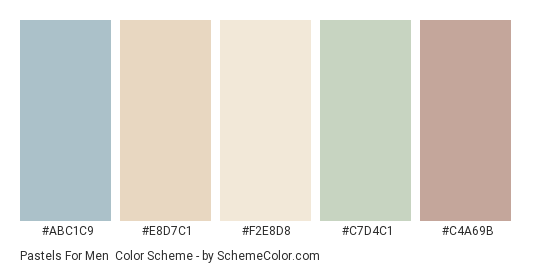 Pastels for Men - Color scheme palette thumbnail - #ABC1C9 #E8D7C1 #F2E8D8 #C7D4C1 #C4A69B 