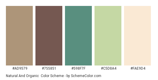 Natural and Organic - Color scheme palette thumbnail - #AD9579 #755851 #598F7F #C5D8A4 #FAE9D4 