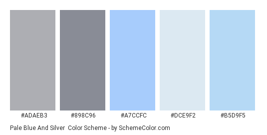 Pale Blue and Silver - Color scheme palette thumbnail - #ADAEB3 #898C96 #A7CCFC #DCE9F2 #B5D9F5 