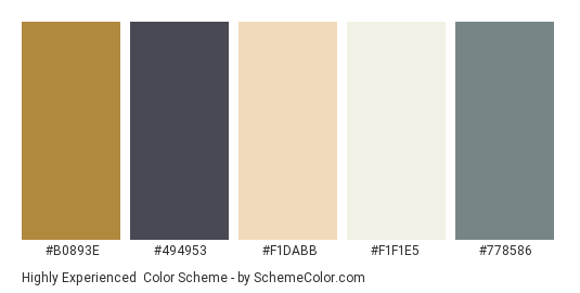 Highly Experienced - Color scheme palette thumbnail - #B0893E #494953 #F1DABB #F1F1E5 #778586 