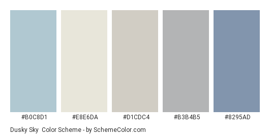 Dusky Sky - Color scheme palette thumbnail - #B0C8D1 #E8E6DA #D1CDC4 #B3B4B5 #8295AD 