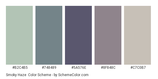 Smoky Haze - Color scheme palette thumbnail - #B2C4B5 #748489 #5A576E #8F848C #C7C0B7 