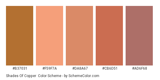 Shades of Copper - Color scheme palette thumbnail - #B37031 #F59F7A #DA8A67 #CB6D51 #AD6F68 