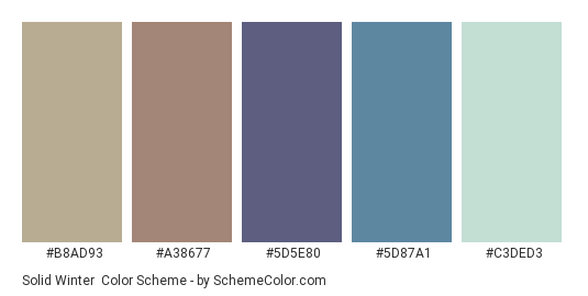 Solid Winter - Color scheme palette thumbnail - #B8AD93 #A38677 #5D5E80 #5D87A1 #C3DED3 