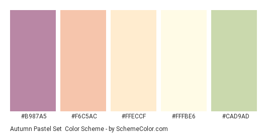 Autumn Pastel Set - Color scheme palette thumbnail - #B987A5 #F6C5AC #FFECCF #FFFBE6 #CAD9AD 