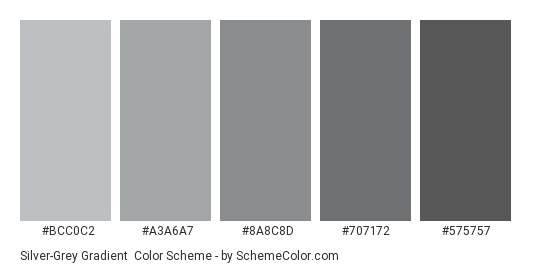 Silver-Grey Gradient - Color scheme palette thumbnail - #BCC0C2 #A3A6A7 #8A8C8D #707172 #575757 