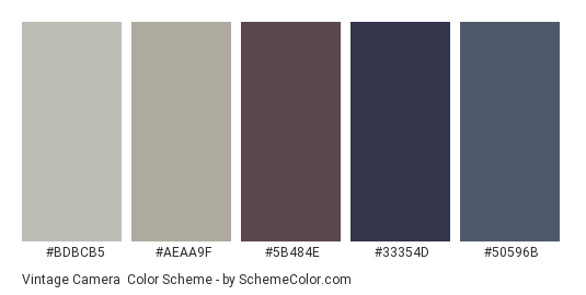 Vintage Camera - Color scheme palette thumbnail - #BDBCB5 #AEAA9F #5B484E #33354D #50596B 