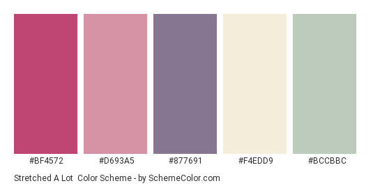 Stretched a Lot - Color scheme palette thumbnail - #BF4572 #D693A5 #877691 #F4EDD9 #BCCBBC 