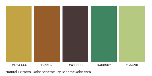 Natural Extracts - Color scheme palette thumbnail - #C2A444 #965C29 #483838 #408562 #B6C981 