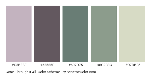 Gone Through It All - Color scheme palette thumbnail - #C3B3BF #63585F #697D75 #8C9C8C #D7DBC5 